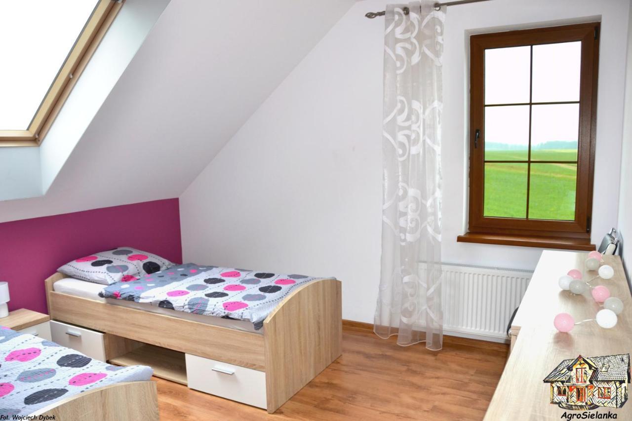 Agrosielanka Villa Lipnica  Exterior foto