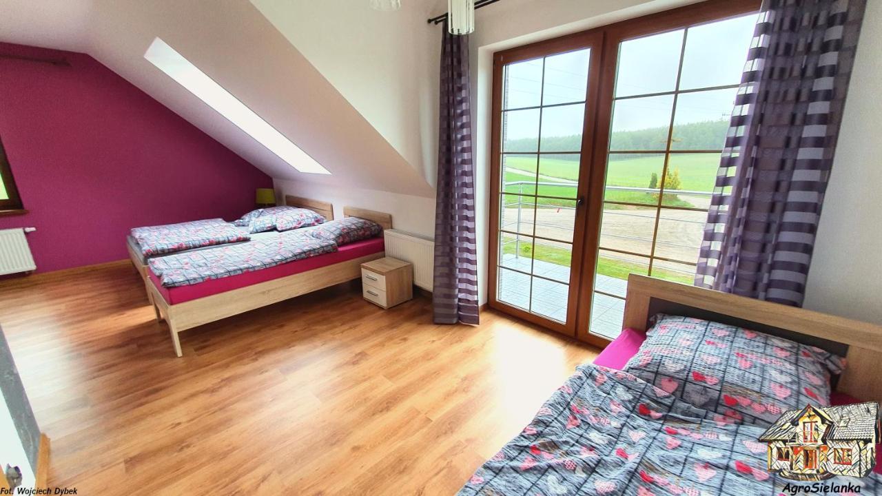 Agrosielanka Villa Lipnica  Exterior foto
